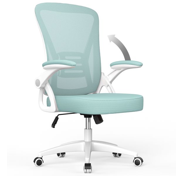 Ergonomic Office Chair with Lumbar Support, High Back Executive Swivel Mesh Gaming Task Chair